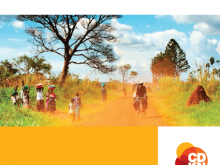CDKN SDGs report