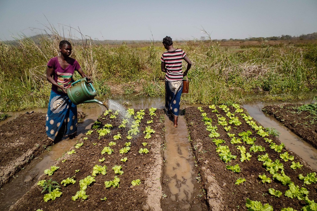 SÉCURITÉ ALIMENTAIRE