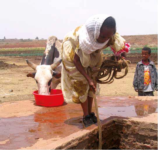 Photo: Petra Brussee, IRC