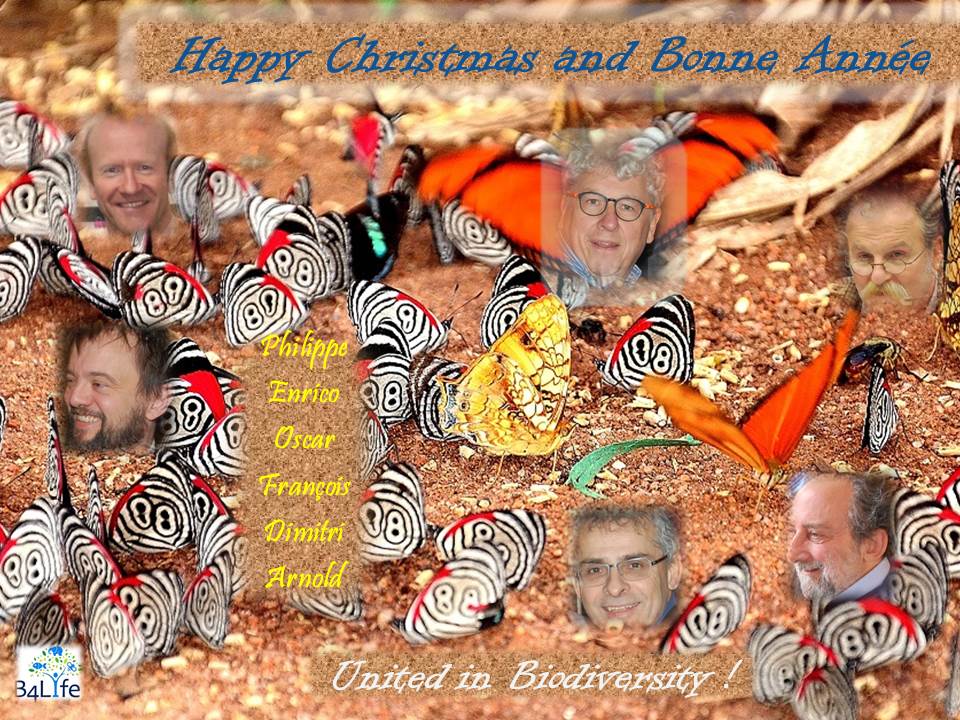 1450873999_happy_christmas_and_bonne_annee.jpg