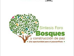 Síntesis Foro Bosques y Construcción de Paz, una Oportunidad para el Posconflicto
