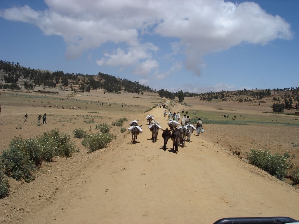 Ethiopian farmers