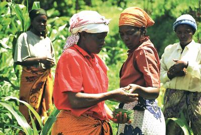 Producers in Africa