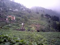 Terracing in Vietnam