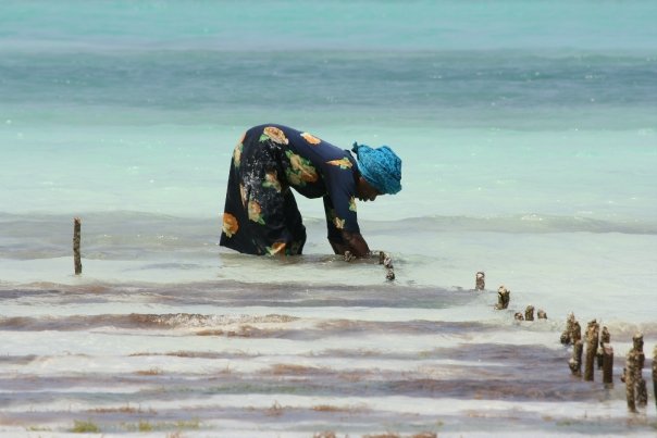 Woman working in Zanzibar