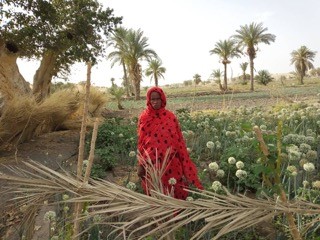 Herta Mbodou and her family using modern irrigation equipment