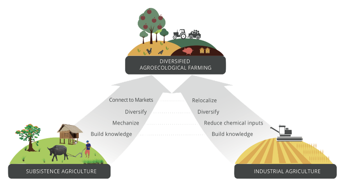 https://europa.eu/capacity4dev/sites/default/files/media/agroindustry.png