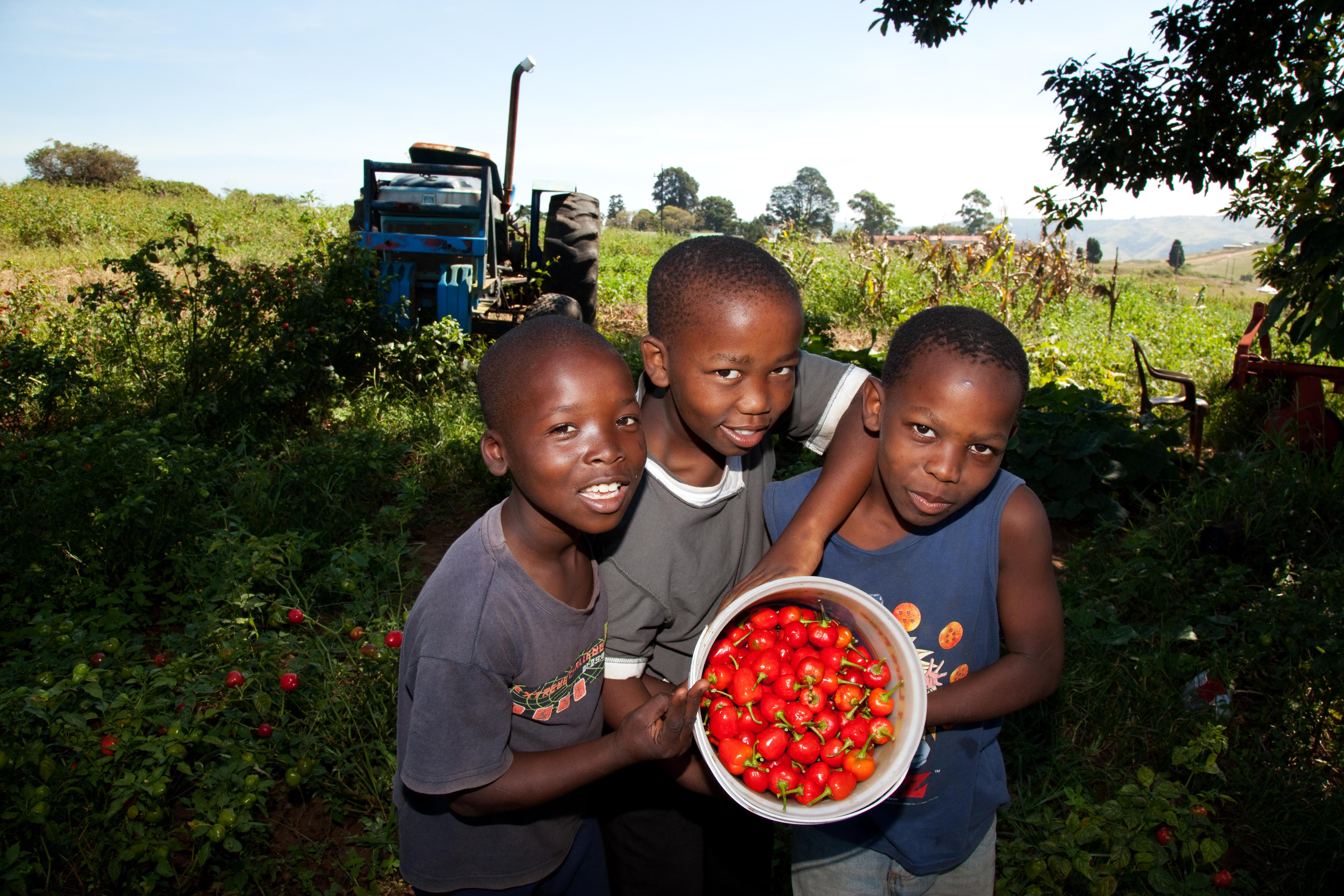 Children with fruit