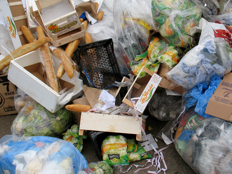 website:www.sustainableguernsey.info