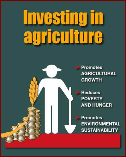 Source: FAO, The State of Food and Agriculture 2012