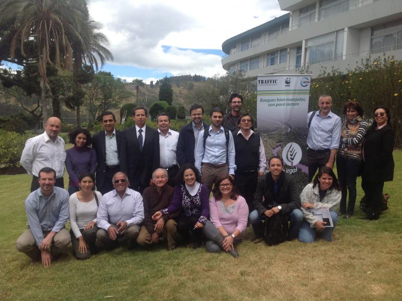 Forestry experts in Quito