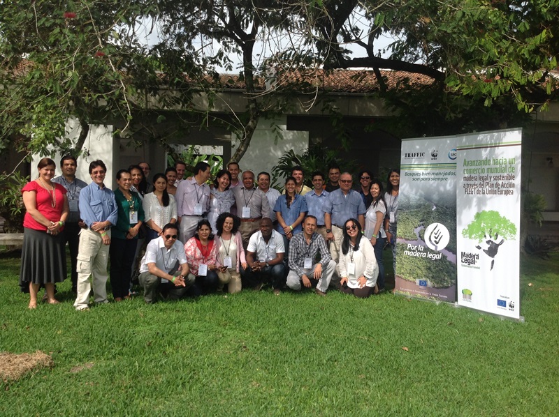 Workshop participants