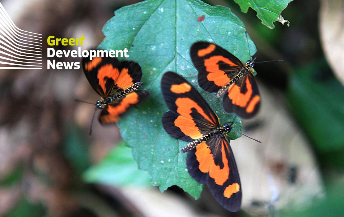 Green Development News