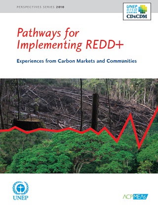 pathways_for_implementing_redd_320.jpg