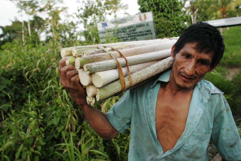 Peruvian farmer