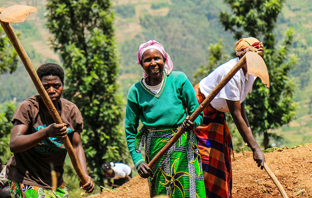 Most of the agriculture in Rwanda is manual and uses traditional techniques and without much mechanisation often holding back productivity. Farmers in Rulindo District