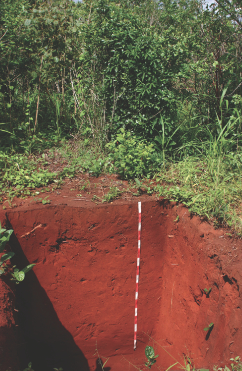 soils_2.jpg