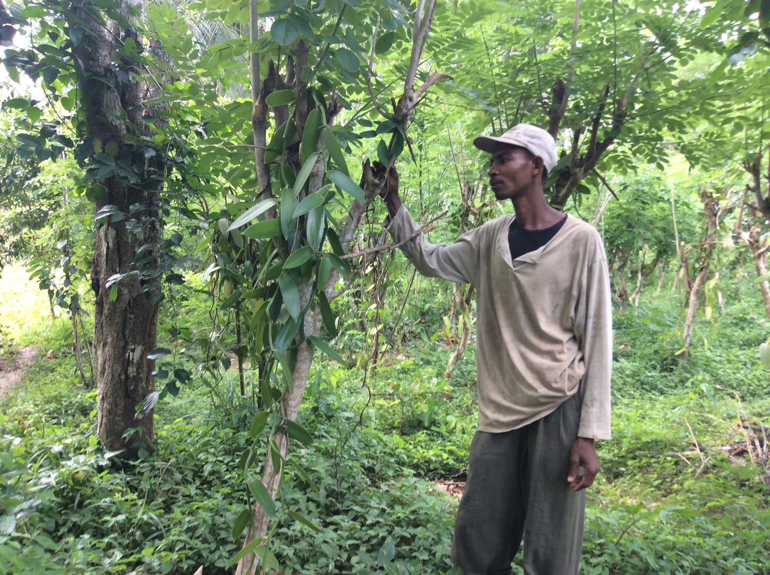 Tanzania