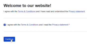 Welcome to our webiste page, where the user is asked to accept the Terms & Conditions and Privacy statement