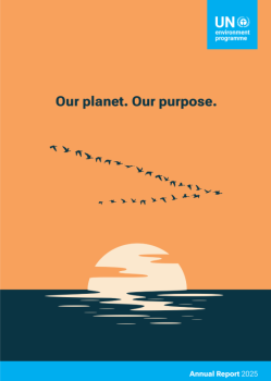 Cover of the UNEP Annual Report 2025. The design shows an orange sky with a stylized sun setting over dark blue water, creating reflections on the surface. A flock of birds flies across the sky. The text ‘Our planet. Our purpose.’ appears in the upper center. The UN Environment Programme logo is displayed in the top right corner, and ‘Annual Report 2025’ appears at the bottom.