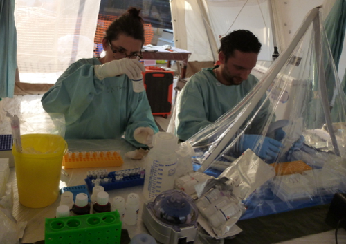 Staff working at the lab in Guéckédou