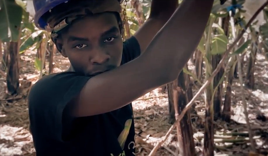 Banana plantation worker