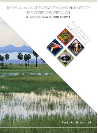 Report of the Study of the Economies of Ecosystems and Biodiversity ...