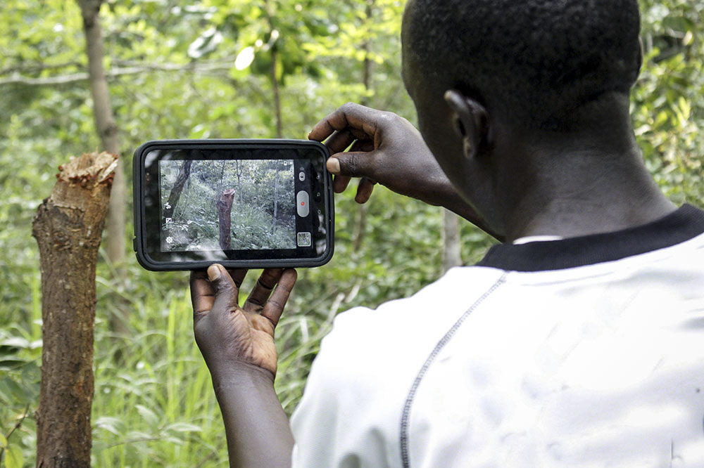 Villager uses a tablet to record forest health