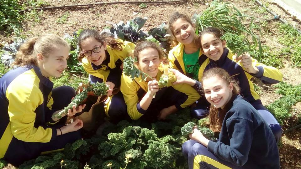Pupils in their school vegetable garden, Malta