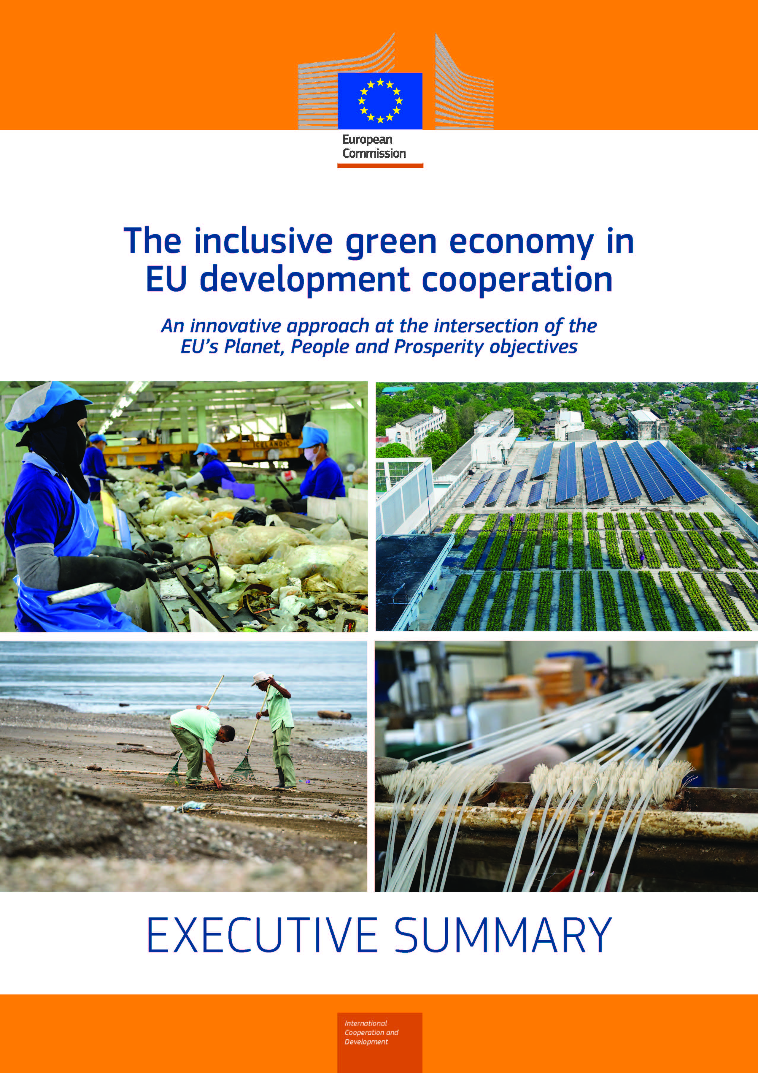 The inclusive green economy in EU development cooperation - Executive ...