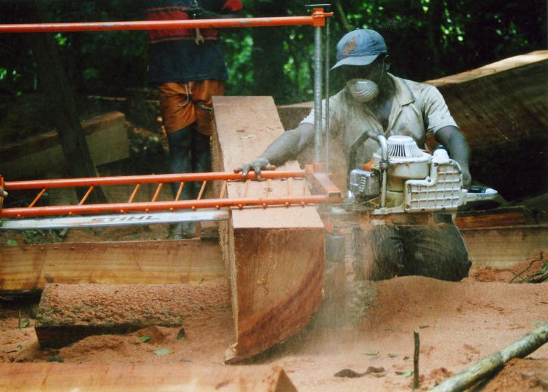 Legal Logging in Cameroon
