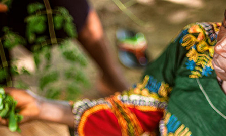 Graduation from social protection