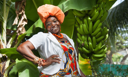 Guyana Joyful African American woman wearing a bright colorful national dress, posing in the garden near a banana tree. Traditions and fashion of Latin America, Guyana