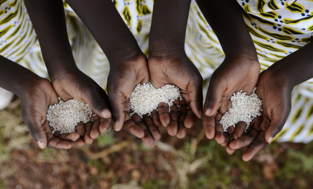 Group of African Black Children Holding Rice Malnutrition Starvation Hunger