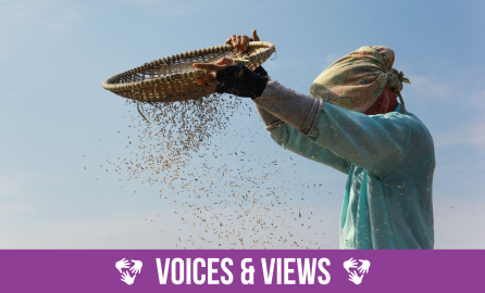 Producción de arroz sostenible en Java Central y Oriental: proyecto Arroz Bajo en Carbono