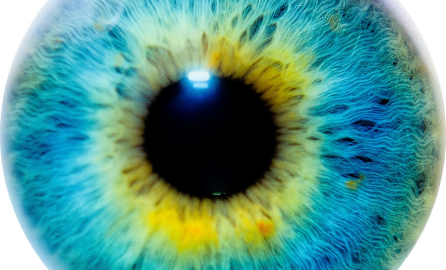 Picture of a blue eye ball