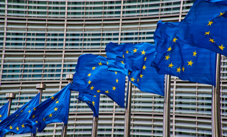 Set of many european flags hanged in front of the European Parliament