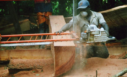  A worker uses a chainsaw mill to cut a large log into planks in a forest. Sawdust fills the air as another person observes nearby.