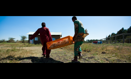 Agribusiness banner