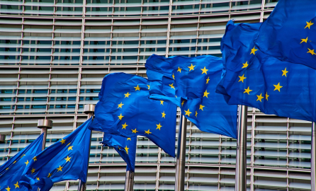 Set of many european flags hanged in front of the European Parliament