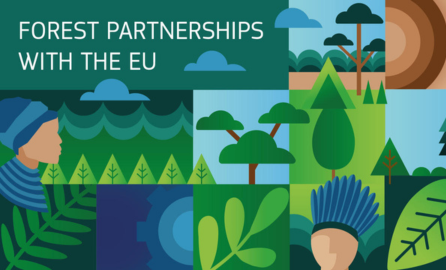 Forest partnerships with the EU