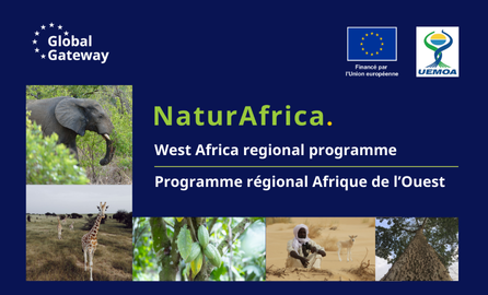 Header image showing name of programme and partner logos (EU and UEMOA)