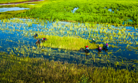Access to water and protected plots helped to improve their working conditions and their resilience, and their strong presence in cooperatives’ executive committees confirmed their involvement in the decision-making processes inherent in the management and operation of PARERBA plots