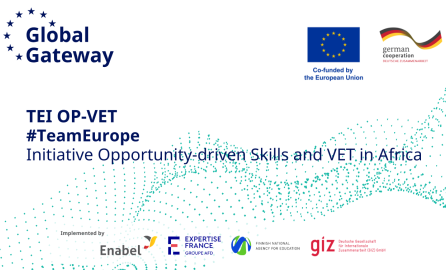 TEI OP-VET Banner
