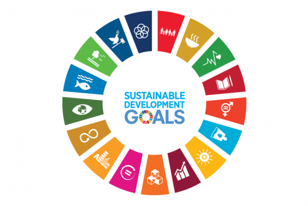 SDG Wheel