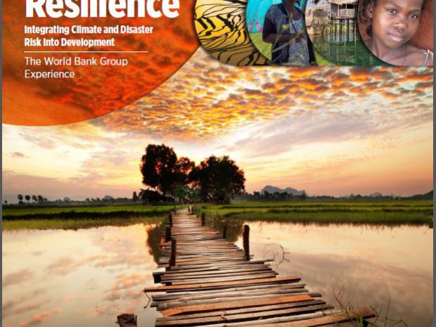 building_resilience.jpg