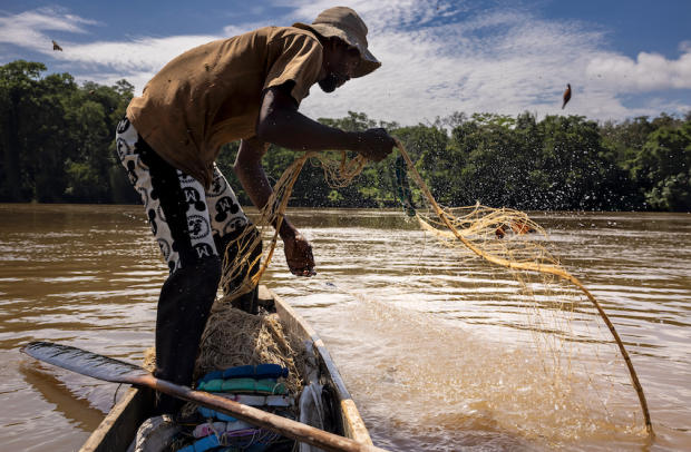 © Brent Stirton/Getty Images for FAO, CIRAD, CIFOR, WCS 