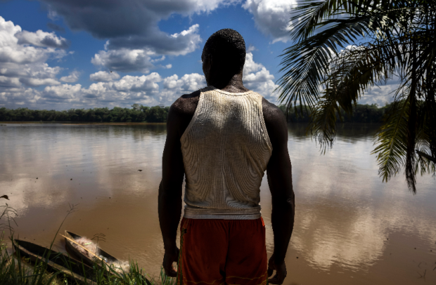 © Brent Stirton/Getty Images for FAO, CIRAD, CIFOR, WCS 