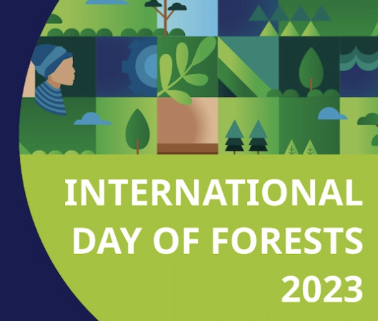 International Day of Forests 