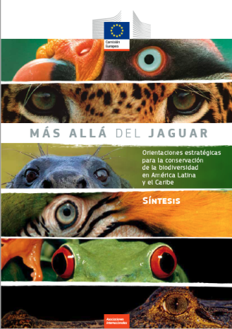 Más allá del jaguar - cover image